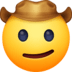 :cowboy_hat_face: