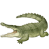 :crocodile: