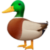 :duck: :duck: