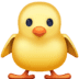 :hatched_chick: