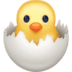 :hatching_chick: