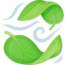 :leaves: :leaves: