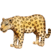 :leopard: