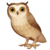 :owl: