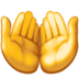:palms_up_together: