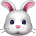 :rabbit: :rabbit: