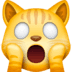 :scream_cat: