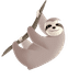 :sloth: