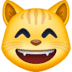 :smile_cat: