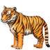 :tiger2: :tiger2: