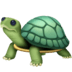 :turtle: