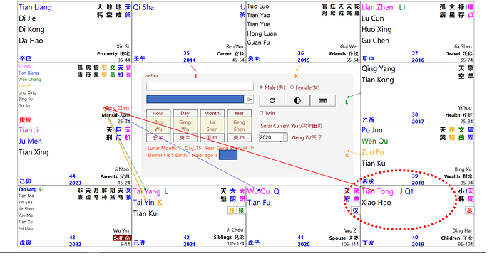 BirthChart2