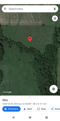 Screenshot_20210210-175332