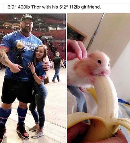 meme fla
