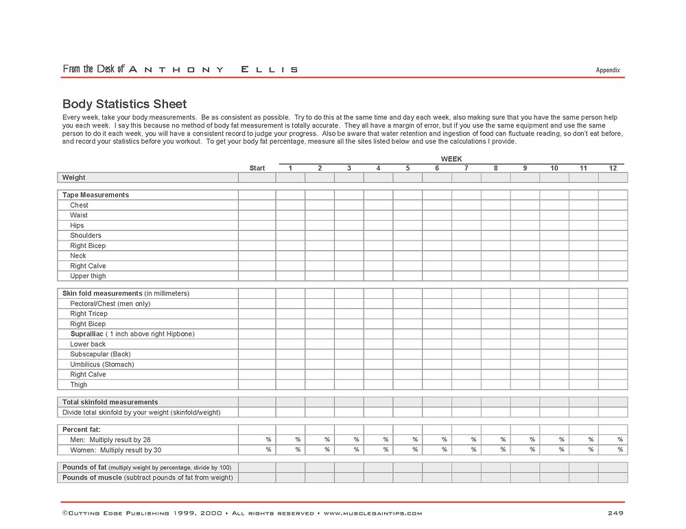 Body Stat Measurements
