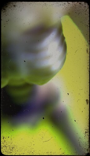 Screenshot_20220210-124228-418