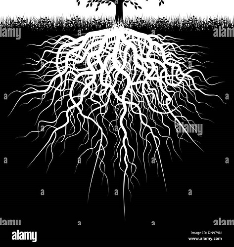 roots