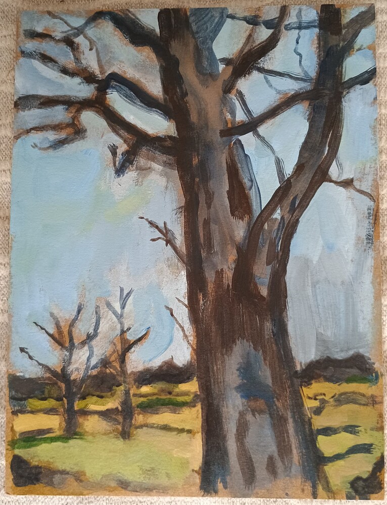 IMG_20251023_112659130 (1)