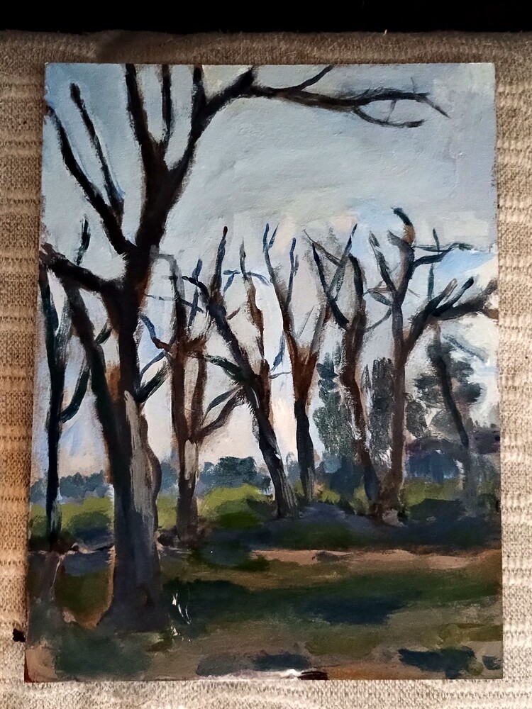 IMG_20251120_121914029