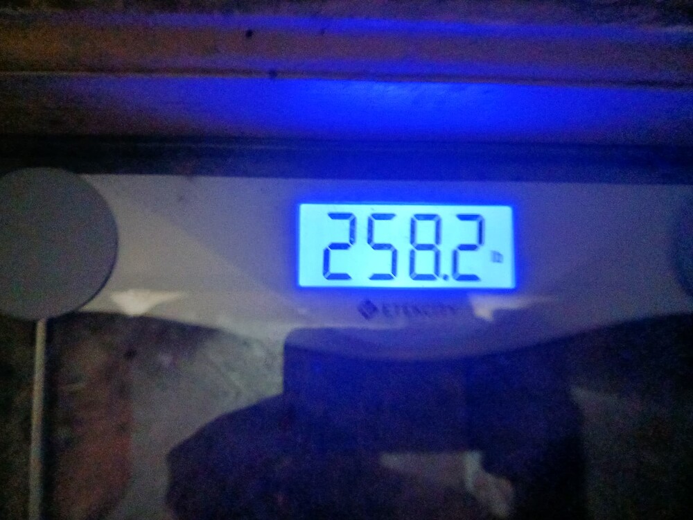20231013_075328