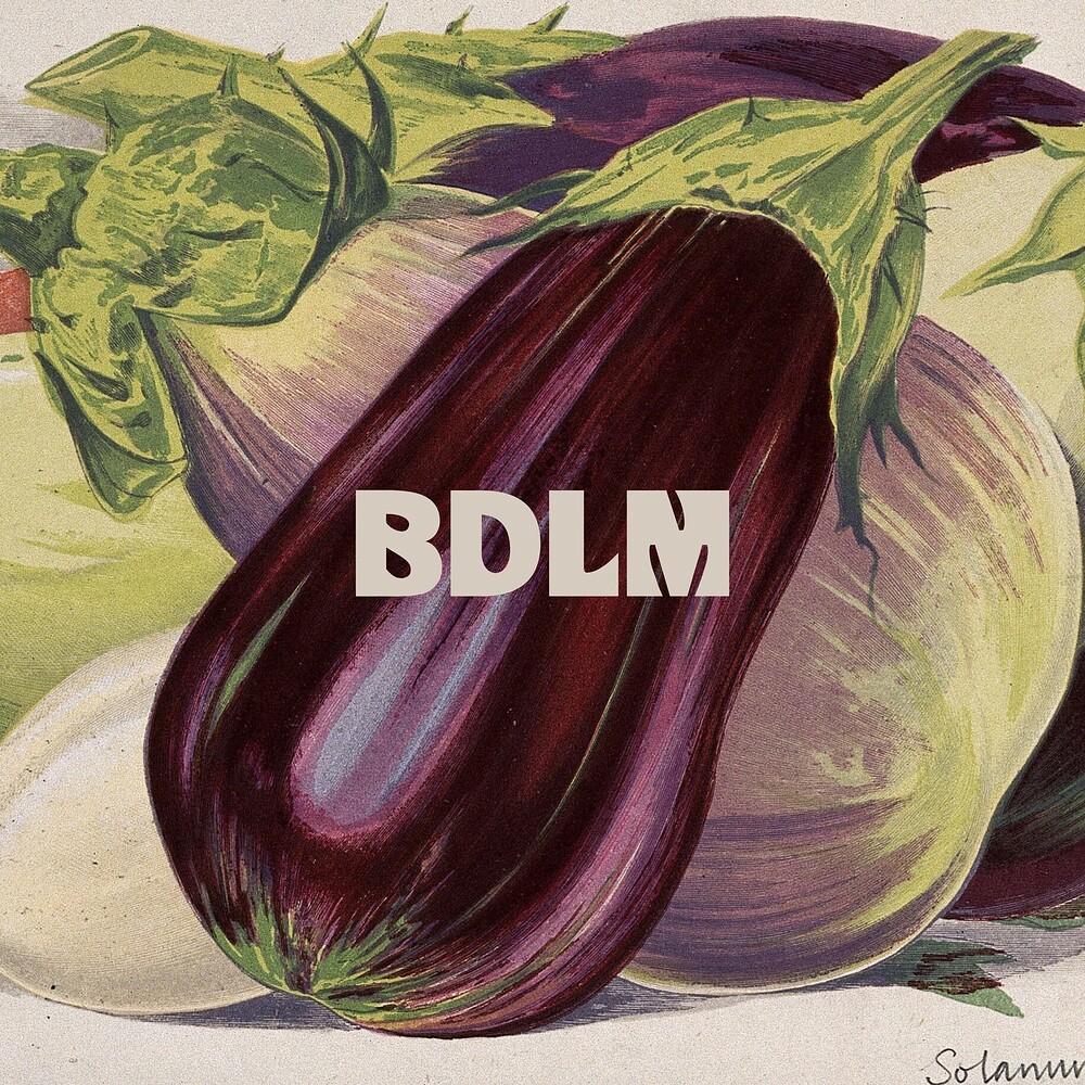 BDLM