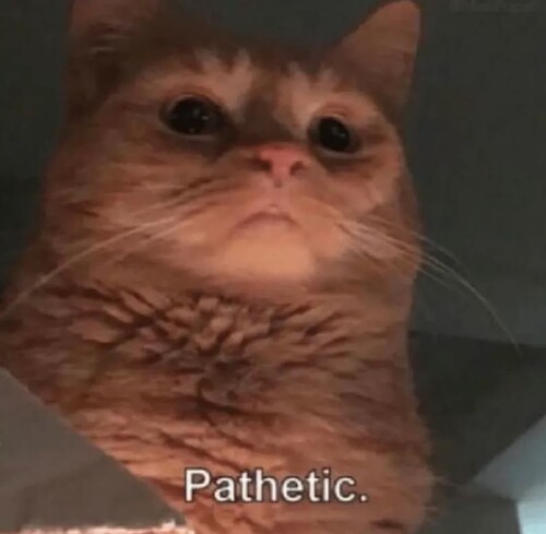 pathetic.PNG