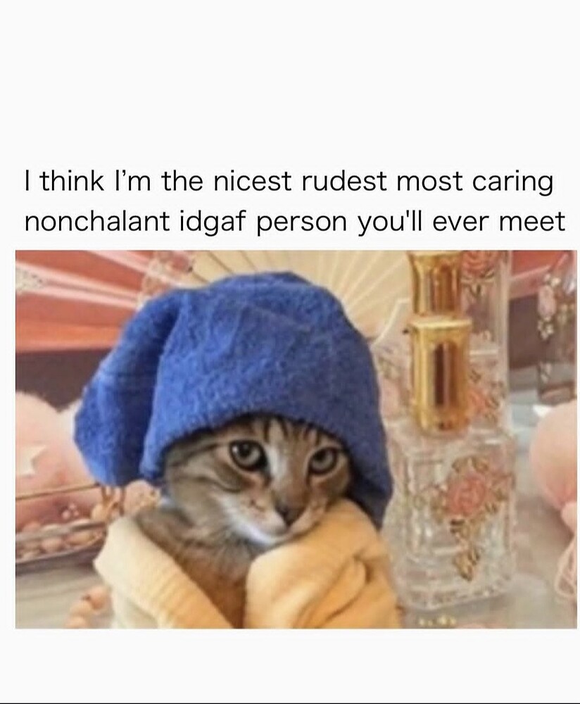 Screenshot_20260223_191849_Instagram