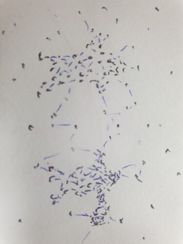 other people are also an aggregation of particles with energy running through them and outside