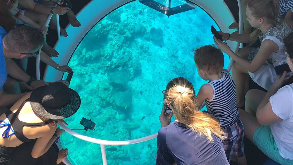 Glass Bottom I