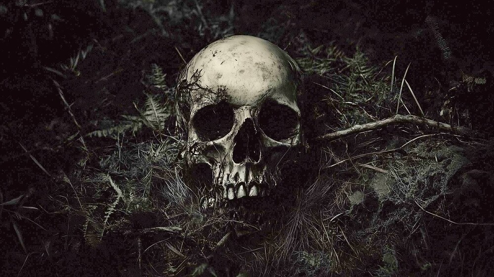 u5723773373_There_is_no_ego_to_kill_to_destroy_to_delete_to_cru_51ec9e16-c63e-4a49-8359-26d1834ce8de