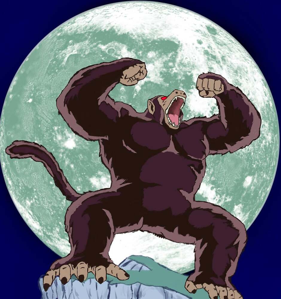 image_search_1768757561222