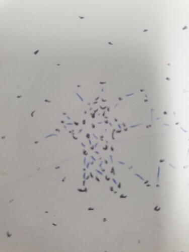 We as a bunch of particules that interact with one another