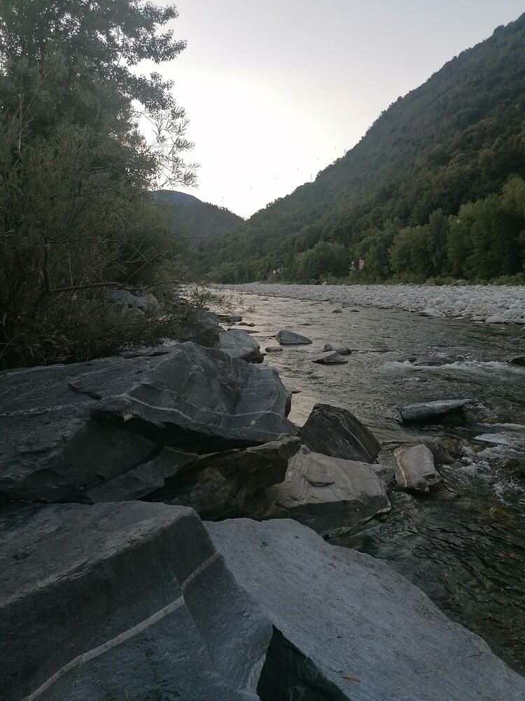 IMG_20250804_202812