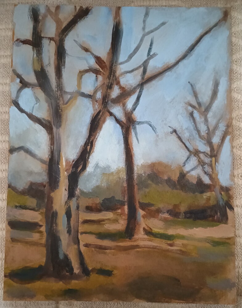 IMG_20251030_112034977~2 (1)