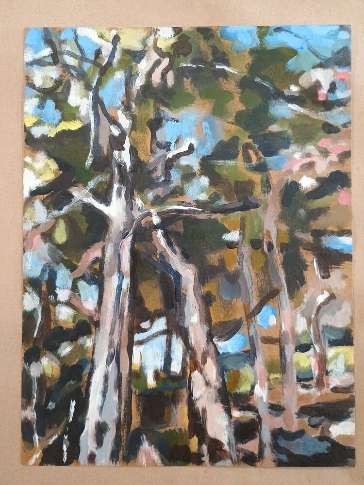 IMG_20260416_113040203