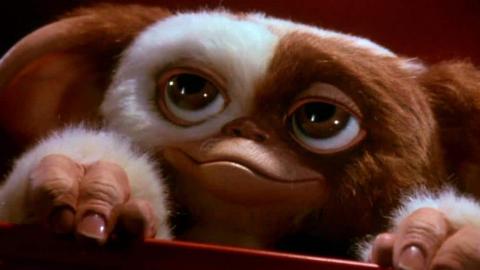 gizmo-gremlins-2649887