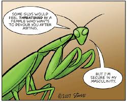 mantis 03