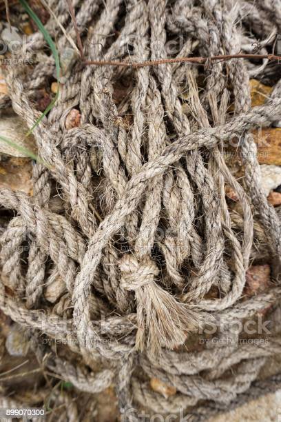 istockphoto-899070300-612x612