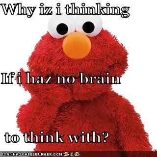 why-iz-i-thinking-if-i-haz-no-brain-to-think-with