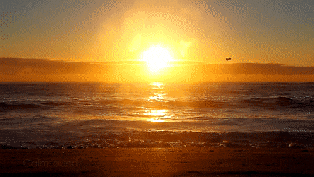 peaceful water gif