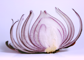 peeling-an-onion