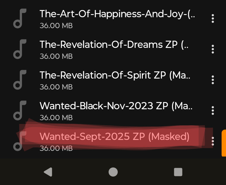 Screenshot_20250917-153312~2