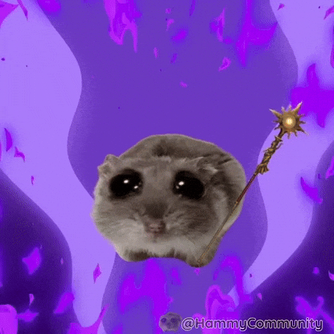 giphy-4