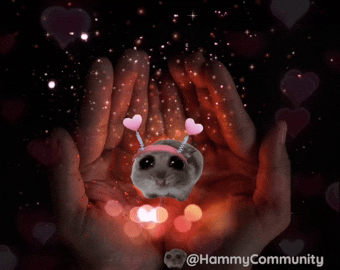 giphy-1