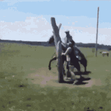horse-bucking