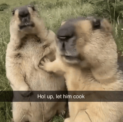 hol-up-let-him-cook