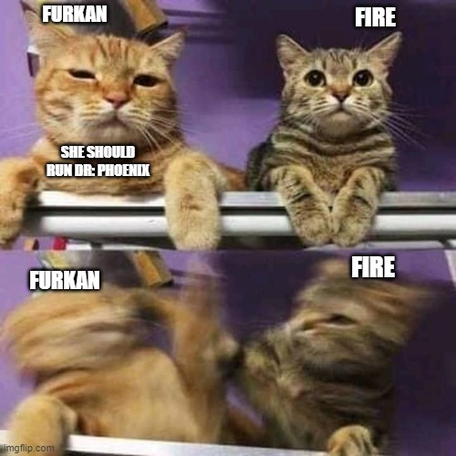 catslap