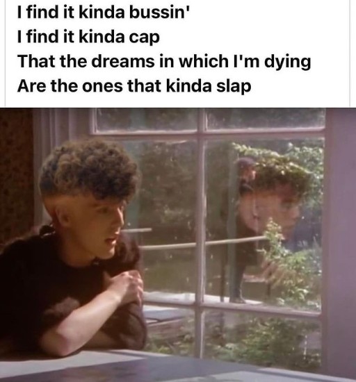 i-find-it-kinda-bussin-i-find-it-kinda-cap-meme