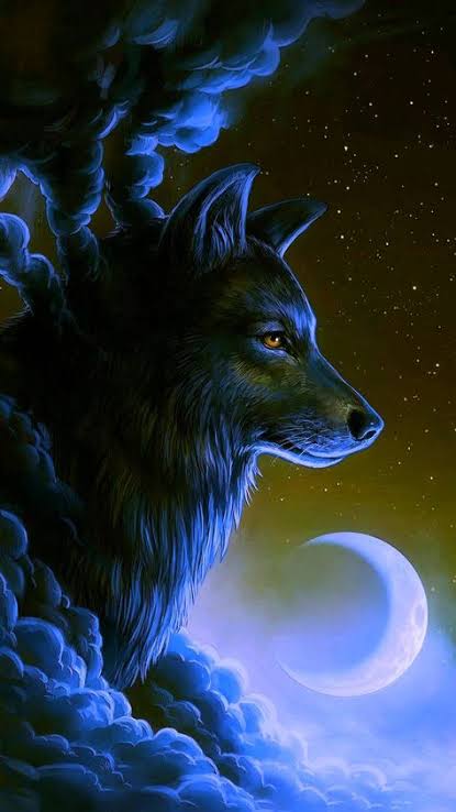 images (21)