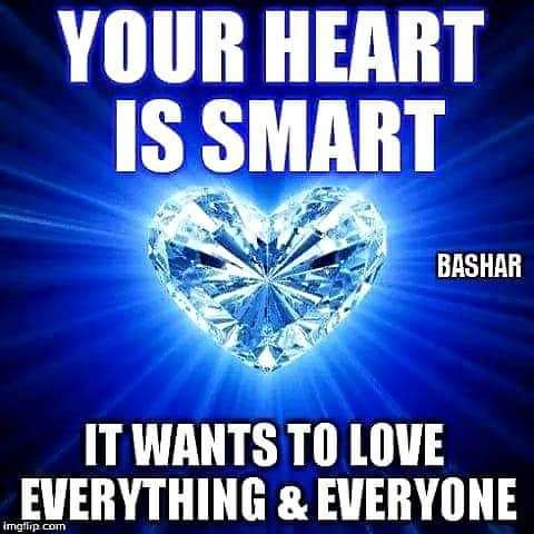 FB_IMG_1730413592305